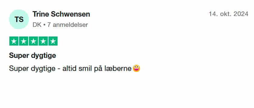Trustpilot fremragende anmeldelse